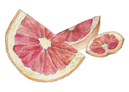 Grejpfrut