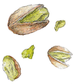 Pistacja